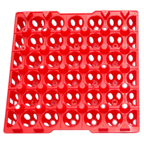 Plastic Egg Tray-Big 